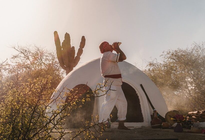 Отель The White Lodge