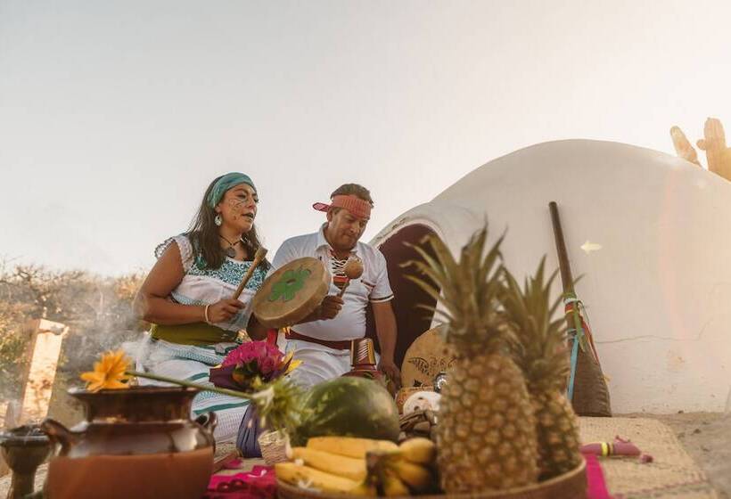 Отель The White Lodge