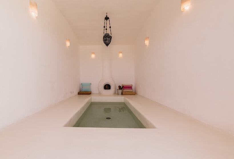 Отель The White Lodge