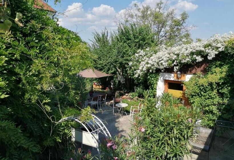 Отель Pension Amelie