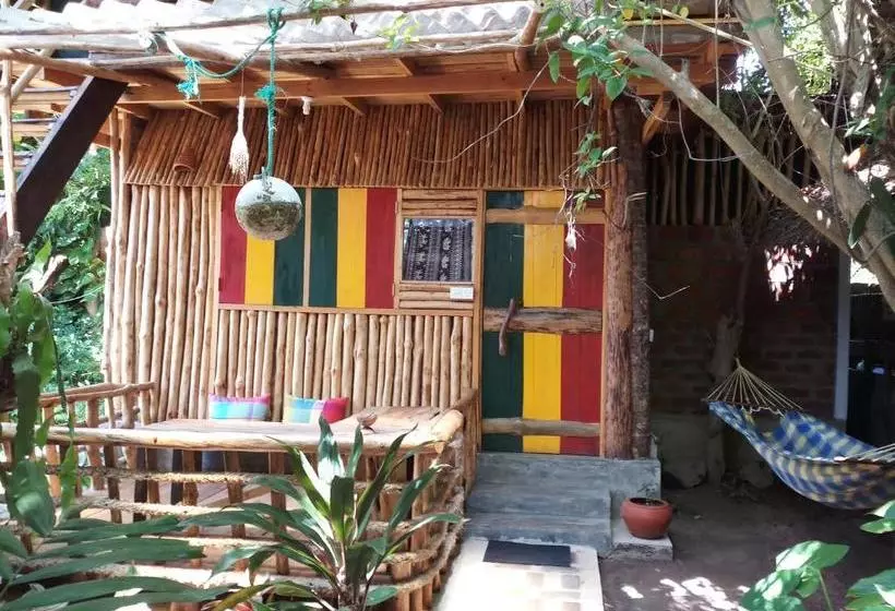 هاستل Chami's Place
