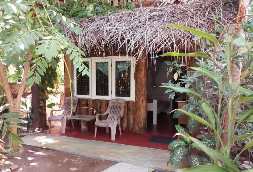 هاستل Chami's Place