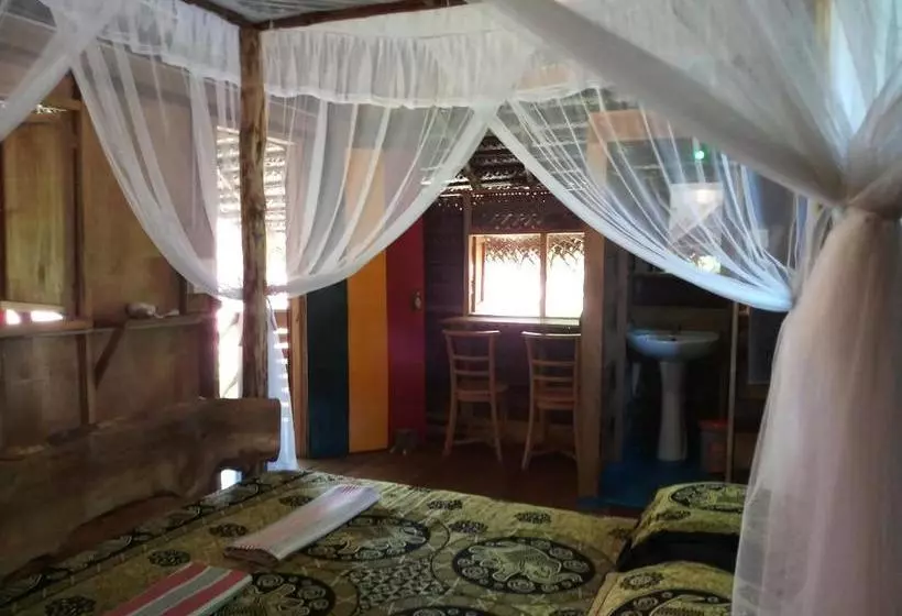 هاستل Chami's Place