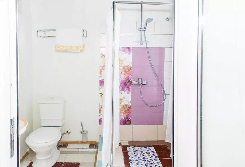 هتل Guest House De Rishelye