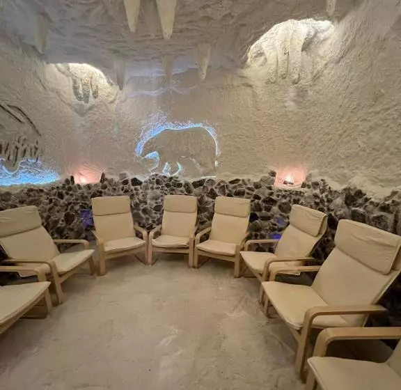 هتل Oasis Karpat