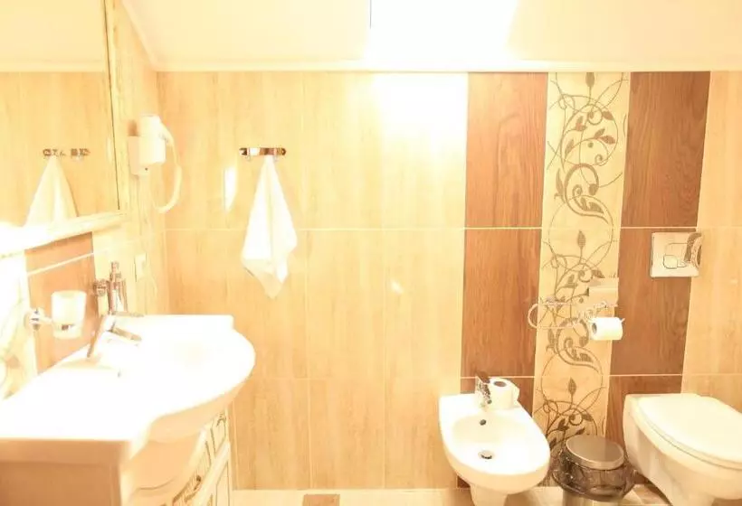 هتل Oasis Karpat