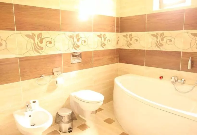 هتل Oasis Karpat