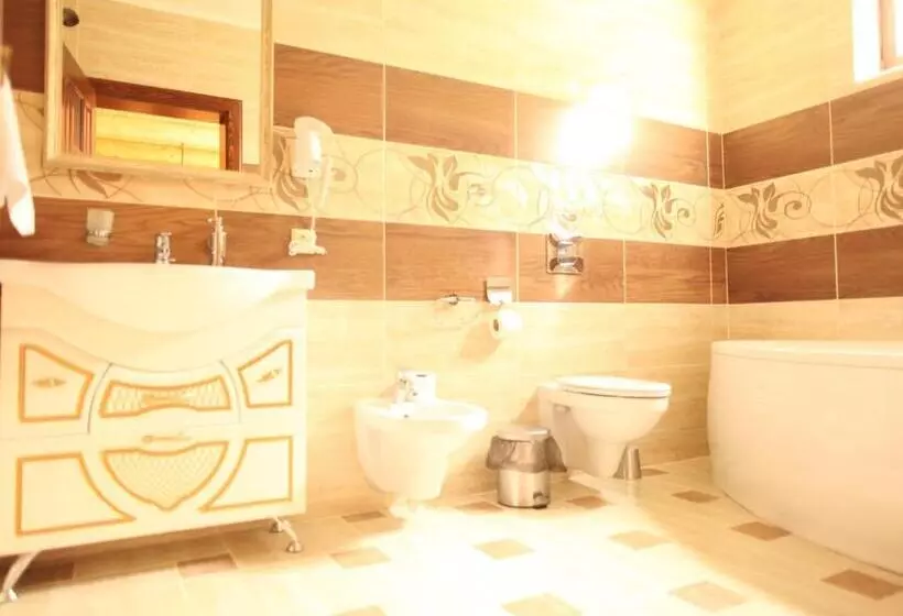 هتل Oasis Karpat