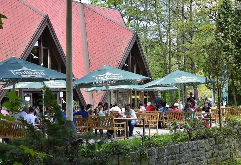 فندق صغير Konopiště Nová Myslivna