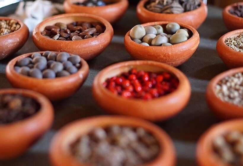 De Silva Wind Resort Kalpitiya  Kitesurfing School Sri Lanka