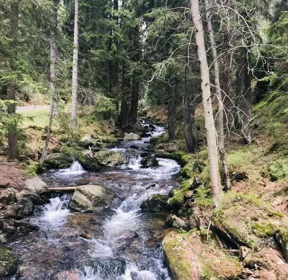 Hotelli Hvezda