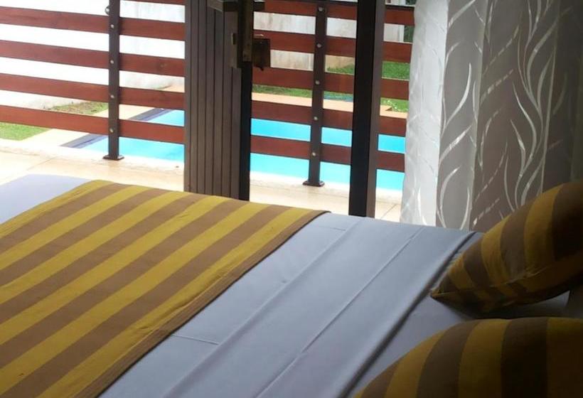 فندق The Mangrove Cave