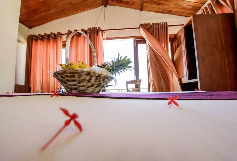 منتجع Amor Villa