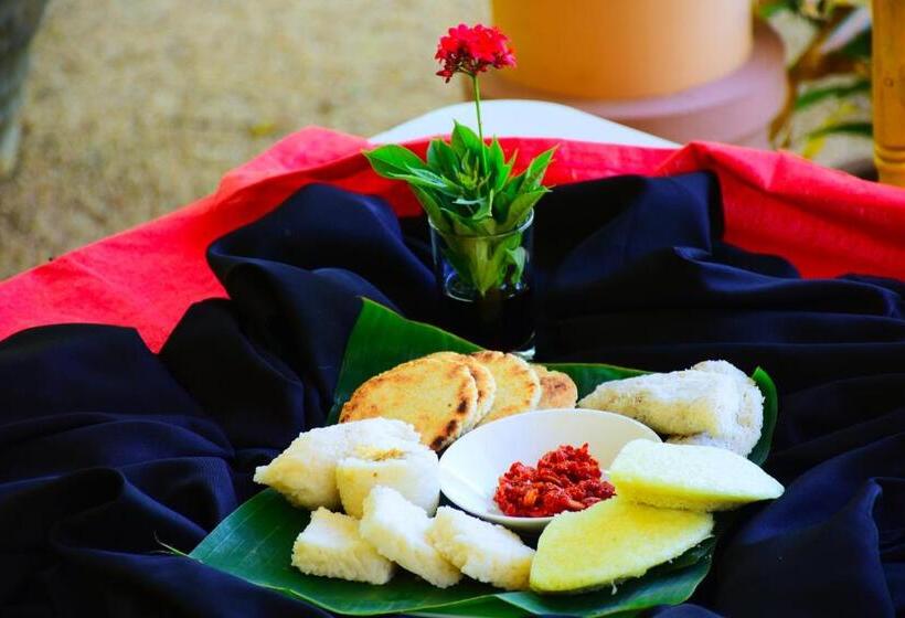 Lomakeskus Mount View