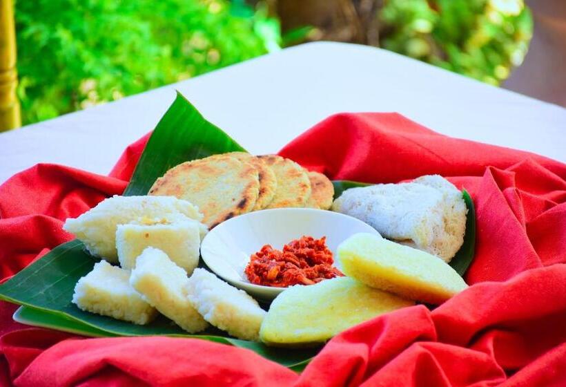 Lomakeskus Mount View