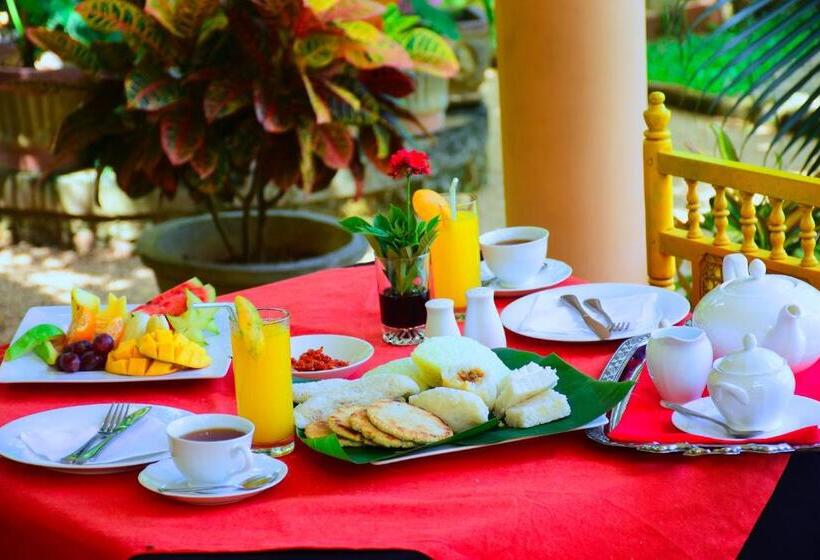 Lomakeskus Mount View