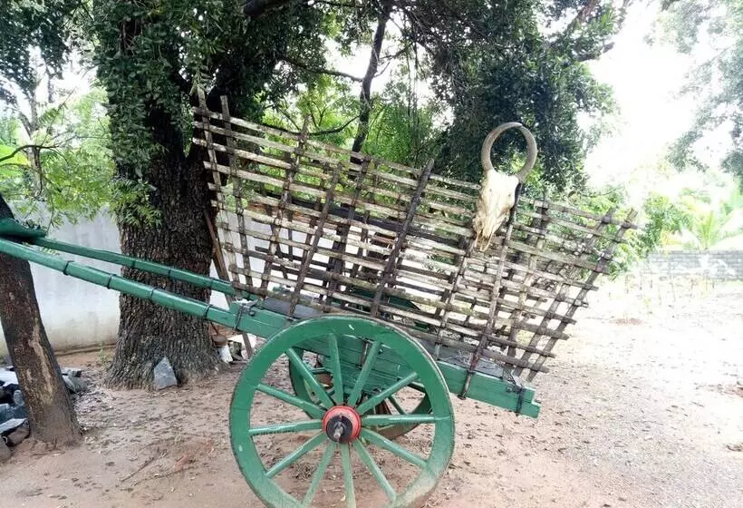 Saman Resort