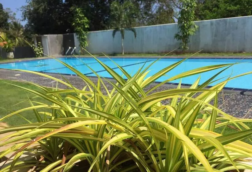 Saman Resort