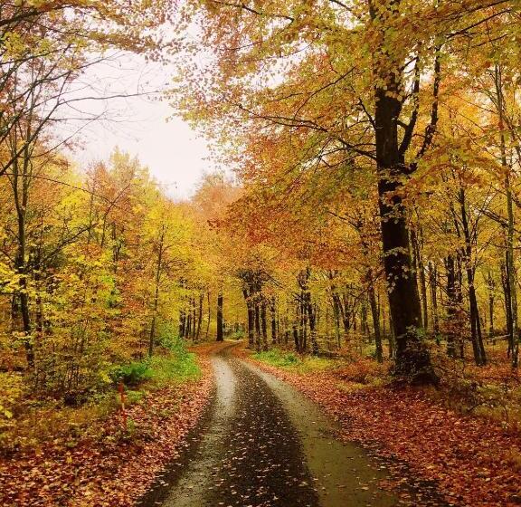 צימר Farmors Lycka