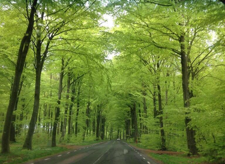 مبيت وإفطار Vita Stenen Rum Och Restaurang