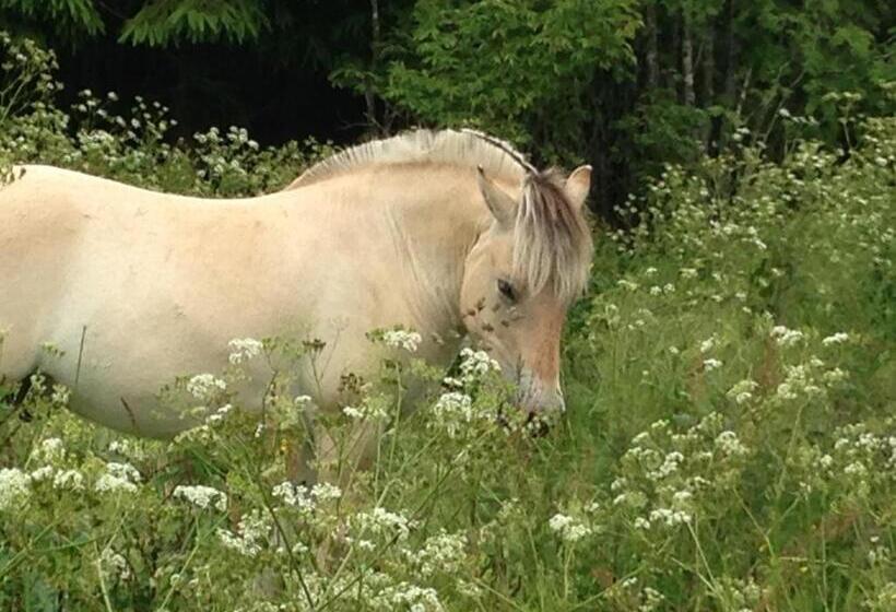 مبيت وإفطار Vita Stenen Rum Och Restaurang