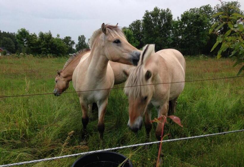 مبيت وإفطار Vita Stenen Rum Och Restaurang