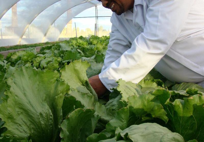 فندق Kalahari Farmhouse, Namibia