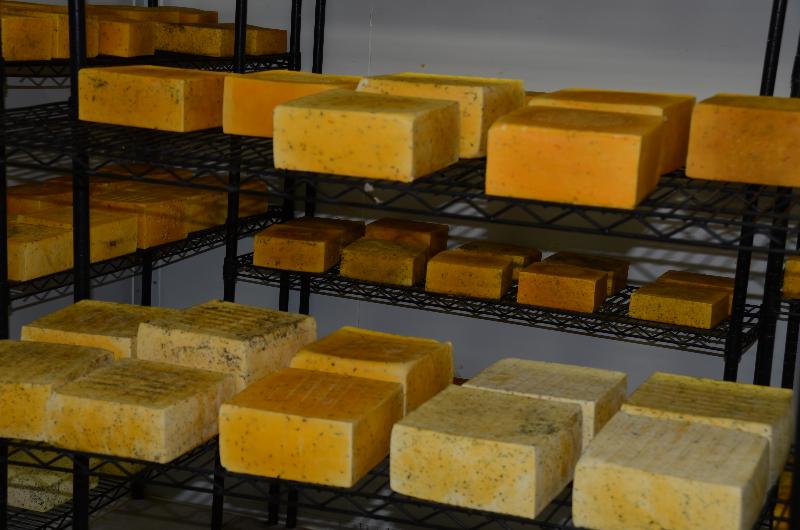 فندق Kalahari Farmhouse, Namibia