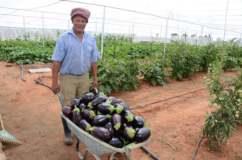 فندق Kalahari Farmhouse, Namibia