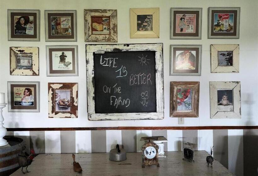 فندق Kalahari Farmhouse, Namibia