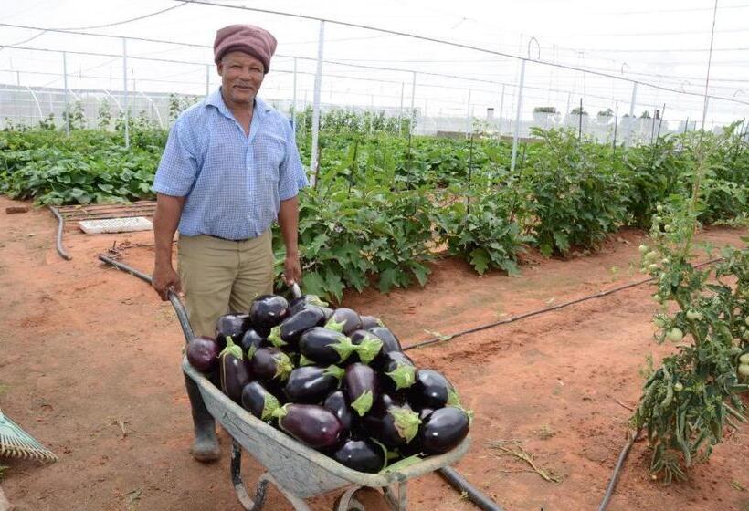 فندق Kalahari Farmhouse, Namibia