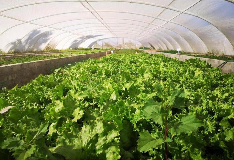 فندق Kalahari Farmhouse, Namibia