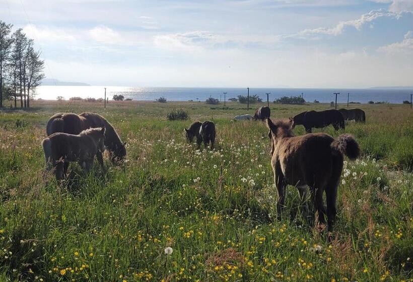 فندق L Jeløy Radio