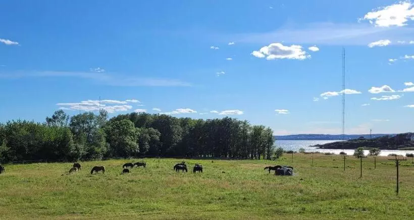 Hotelli L Jeløy Radio