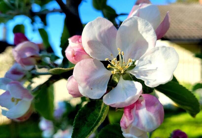 فندق L Jeløy Radio