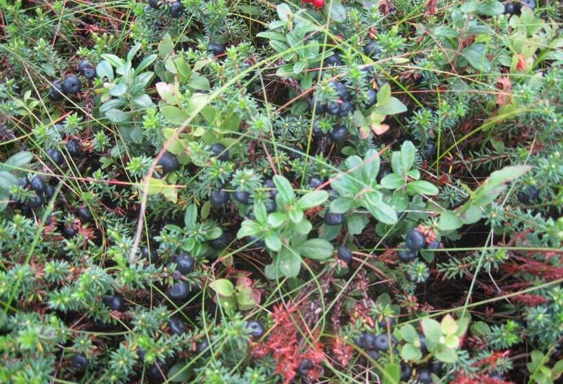 酒店 Norefjell   Storhytte Med Jacuzzi Og Fantastisk Beliggenhet