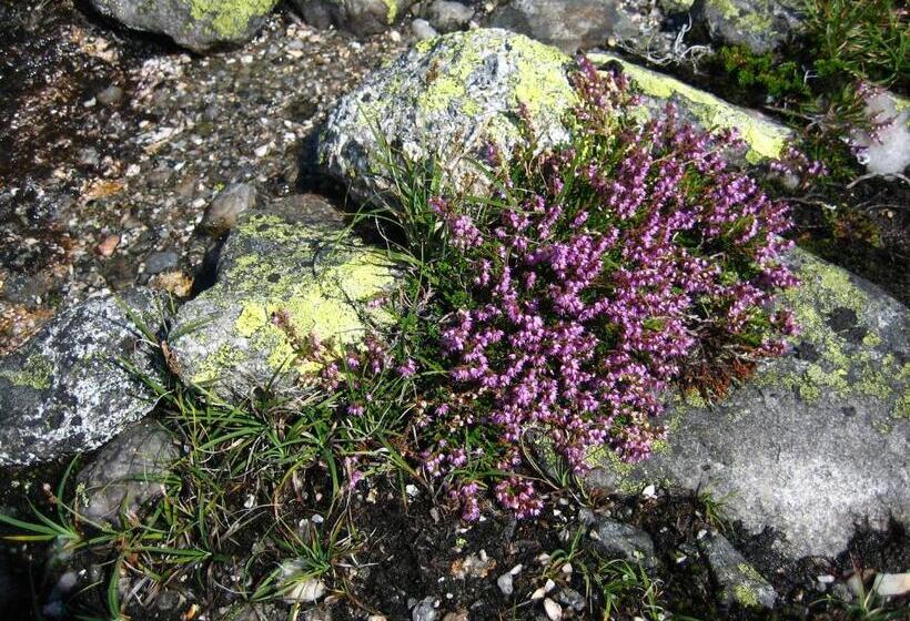 酒店 Norefjell   Storhytte Med Jacuzzi Og Fantastisk Beliggenhet