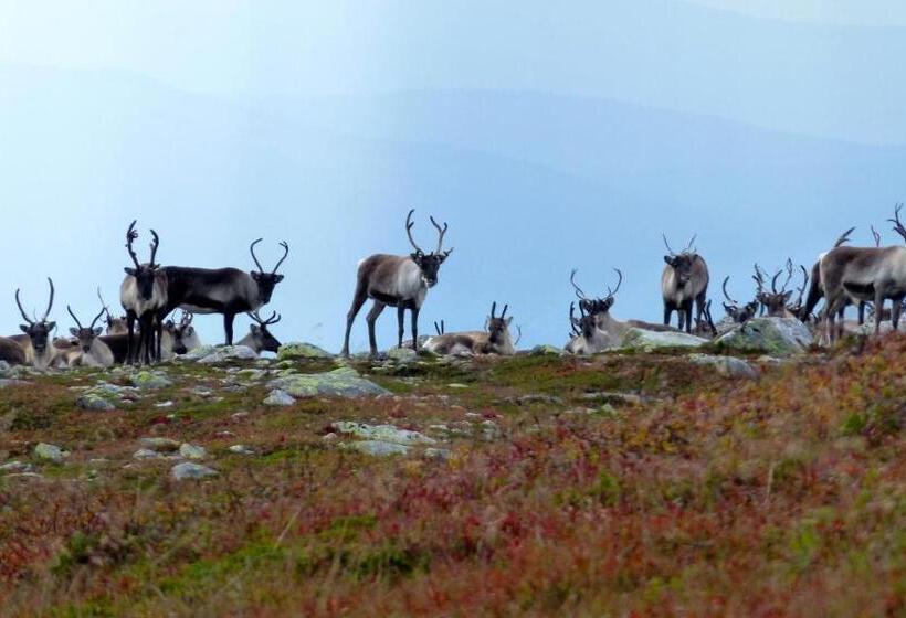 酒店 Norefjell   Storhytte Med Jacuzzi Og Fantastisk Beliggenhet