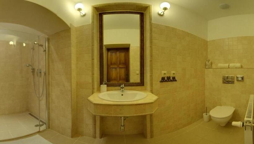 Отель Panský Dům