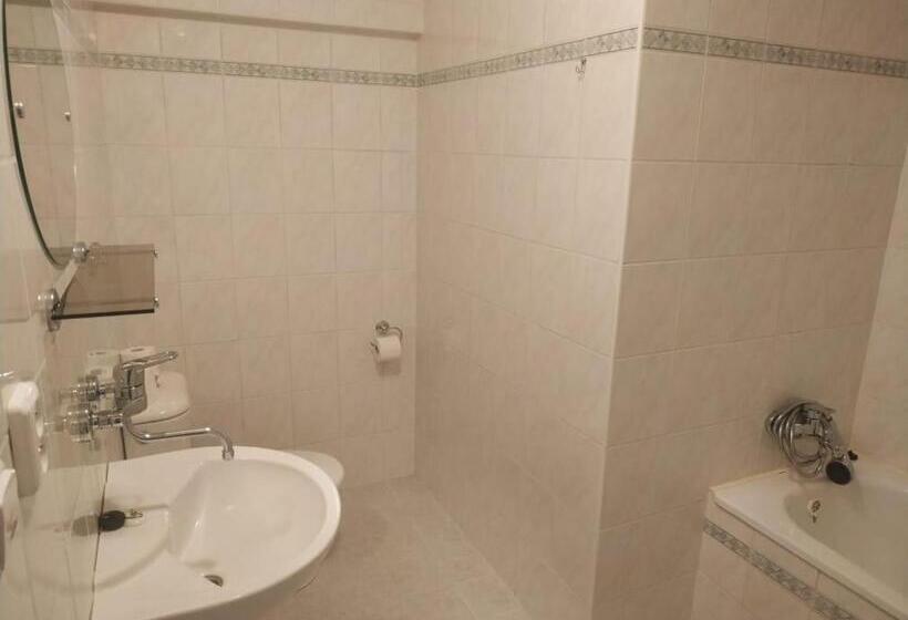 Отель Panský Dům