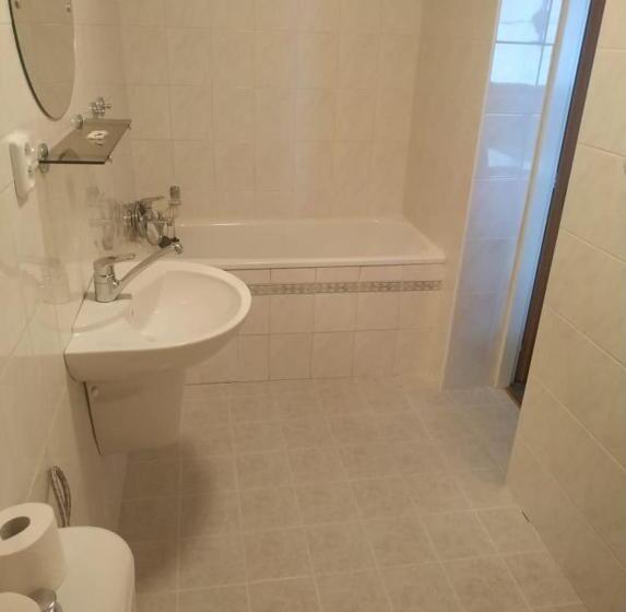 Отель Panský Dům