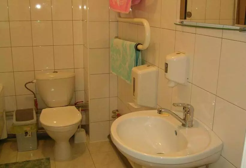 هتل Skaistažiedė