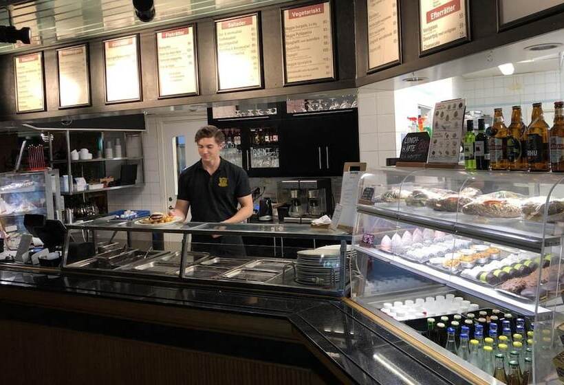 בית מלון כפרי Värdshuset Glada Hudik