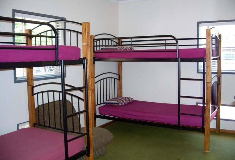 ユースホステル A Plus Samurai Lodge Backpackers