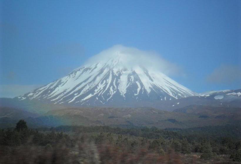 ユースホステル A Plus Samurai Lodge Backpackers