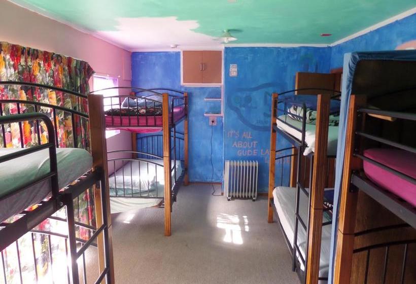 ユースホステル A Plus Samurai Lodge Backpackers