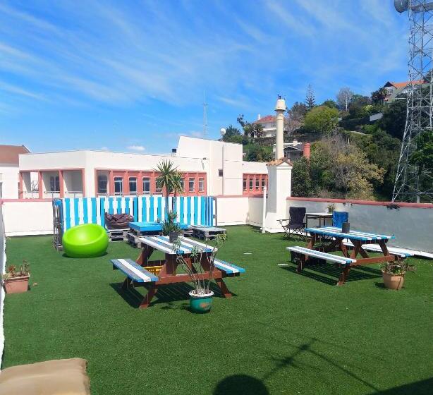 הוסטל Toad Hall Accommodation