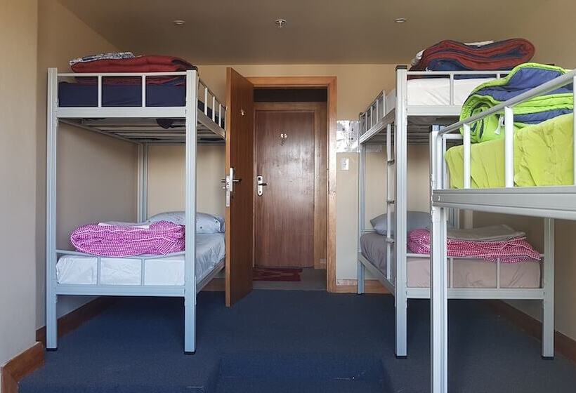 Общежитие Wild Zebra Backpackers