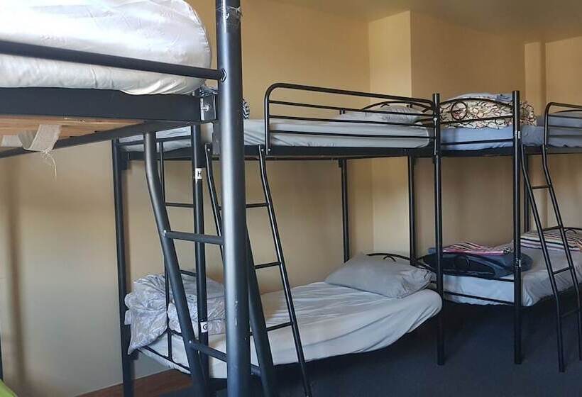 Общежитие Wild Zebra Backpackers