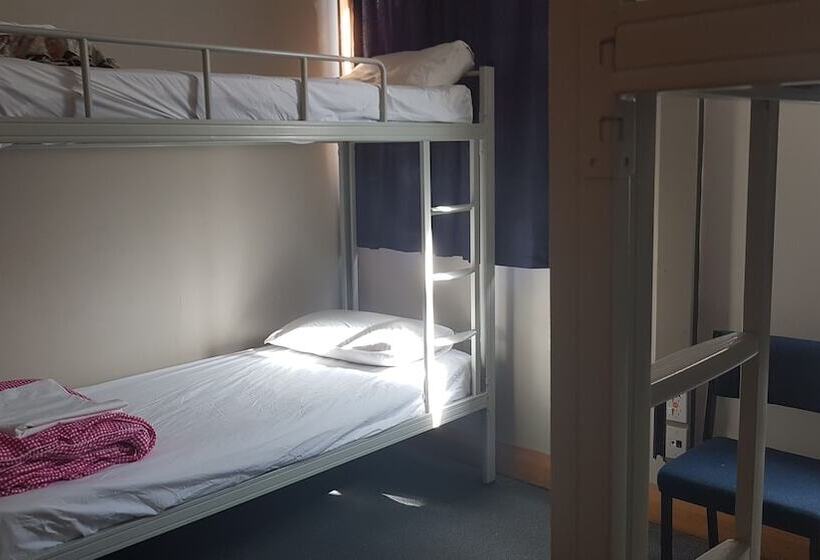 Общежитие Wild Zebra Backpackers